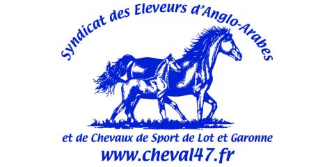 Logo Cheval 47